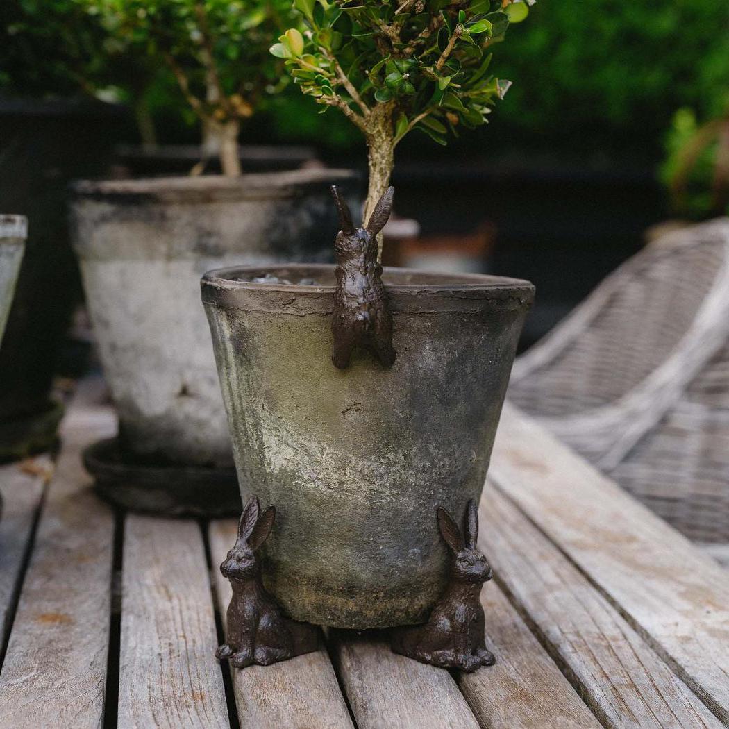 Benny Hare Cast Iron Pot Hugger 6 pcs