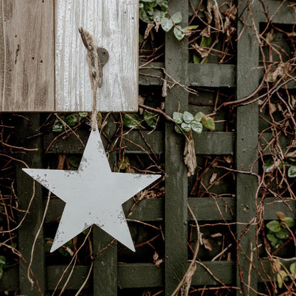 Snow White Star Small 2 pcs