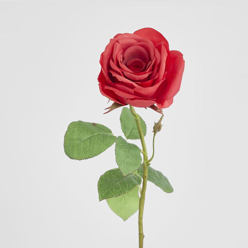 Cabbage Rose Real Touch 65cm Red 6 pcs