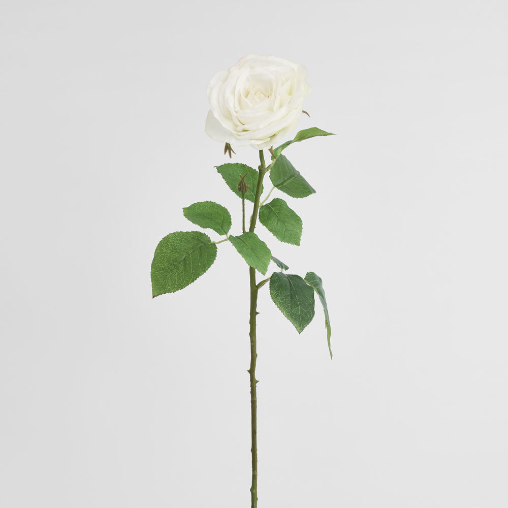 Cabbage Rose Real Touch 65cm White 6 pcs