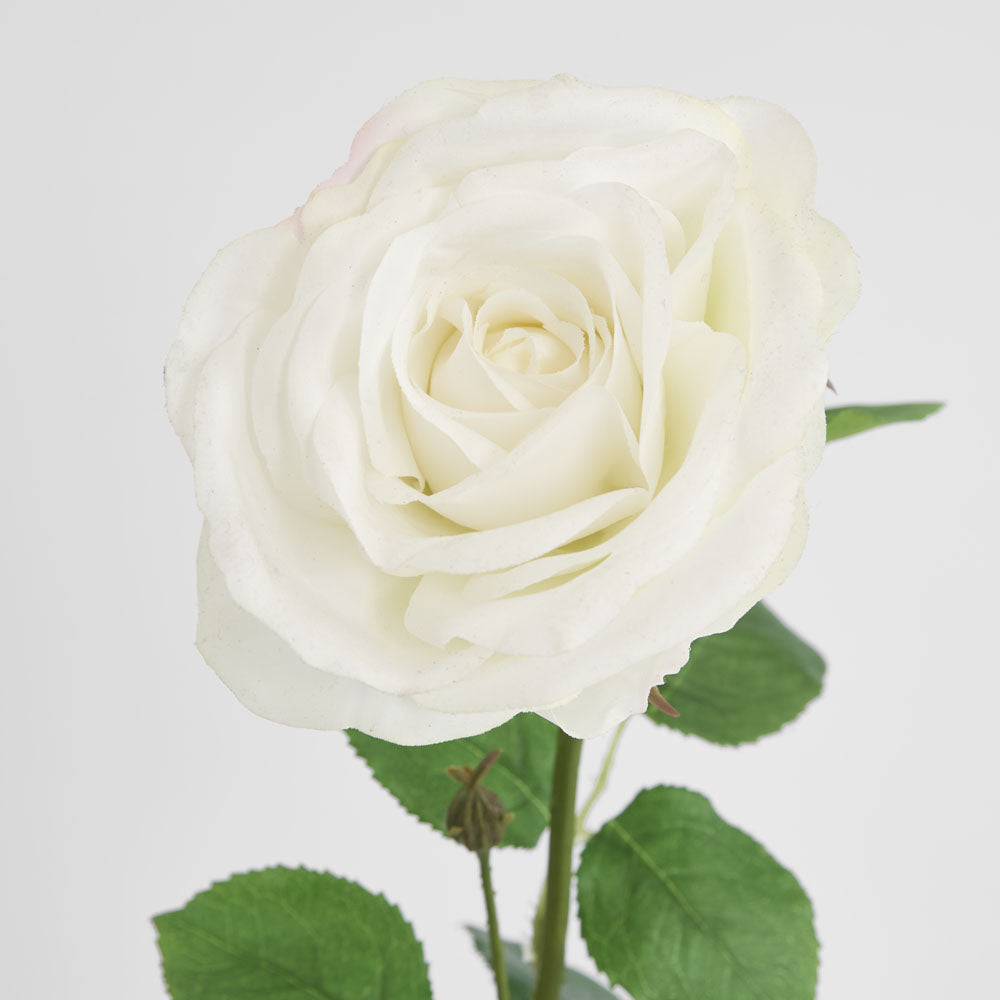 Cabbage Rose Real Touch 65cm White 6 pcs