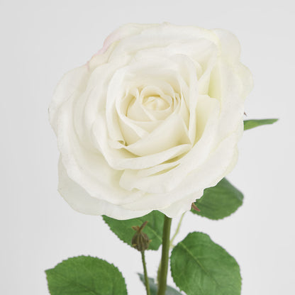 Cabbage Rose Real Touch 65cm White 6 pcs