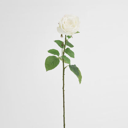 Cabbage Rose Real Touch 65cm White 6 pcs