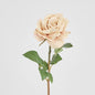 Rose True Touch 50cm Blush