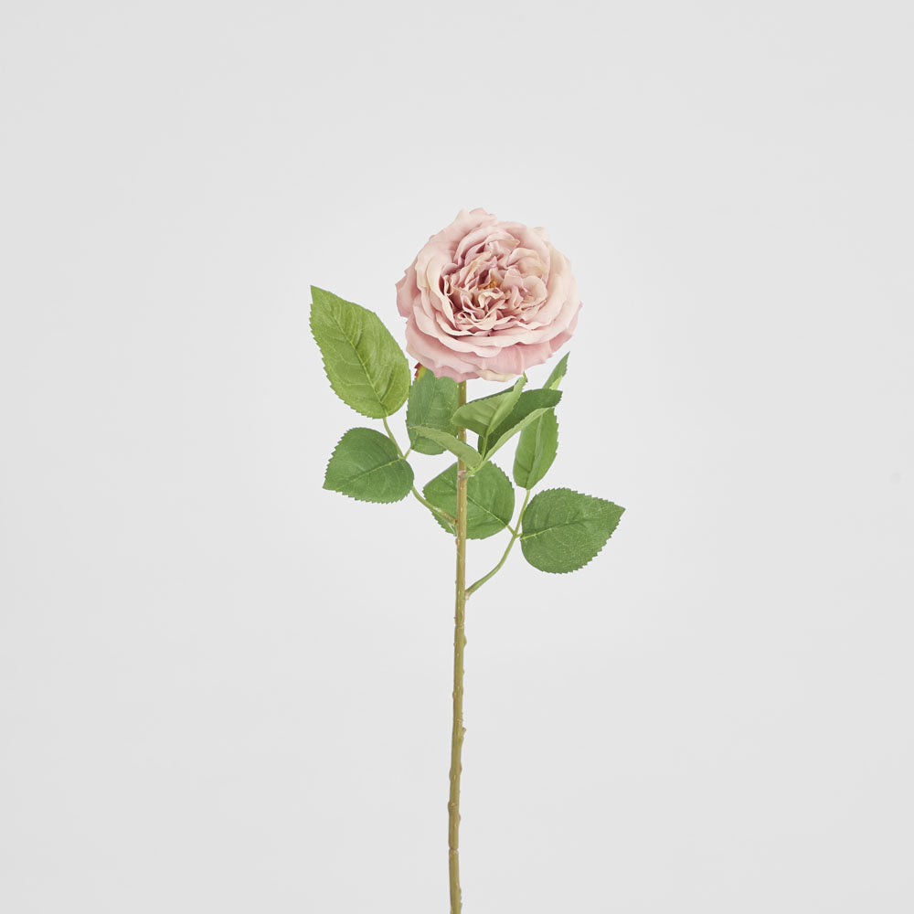 Dried Look English Rose Stem 50cm Blush 6 pcs
