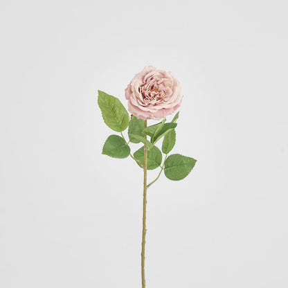 Dried Look English Rose Stem 50cm Blush 6 pcs