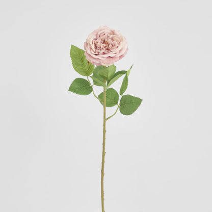 Dried Look English Rose Stem 50cm Blush 6 pcs