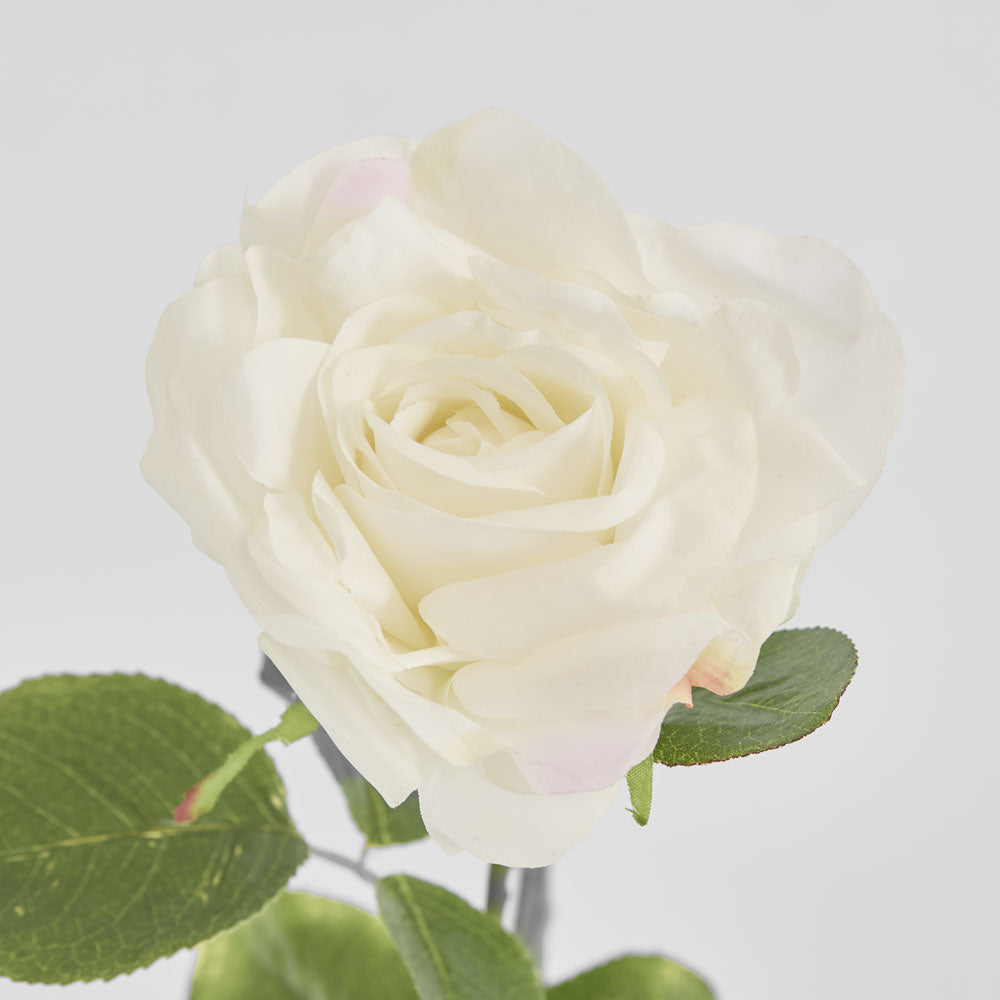 Eliza Soft Touch Rose 80cm White 6 pcs