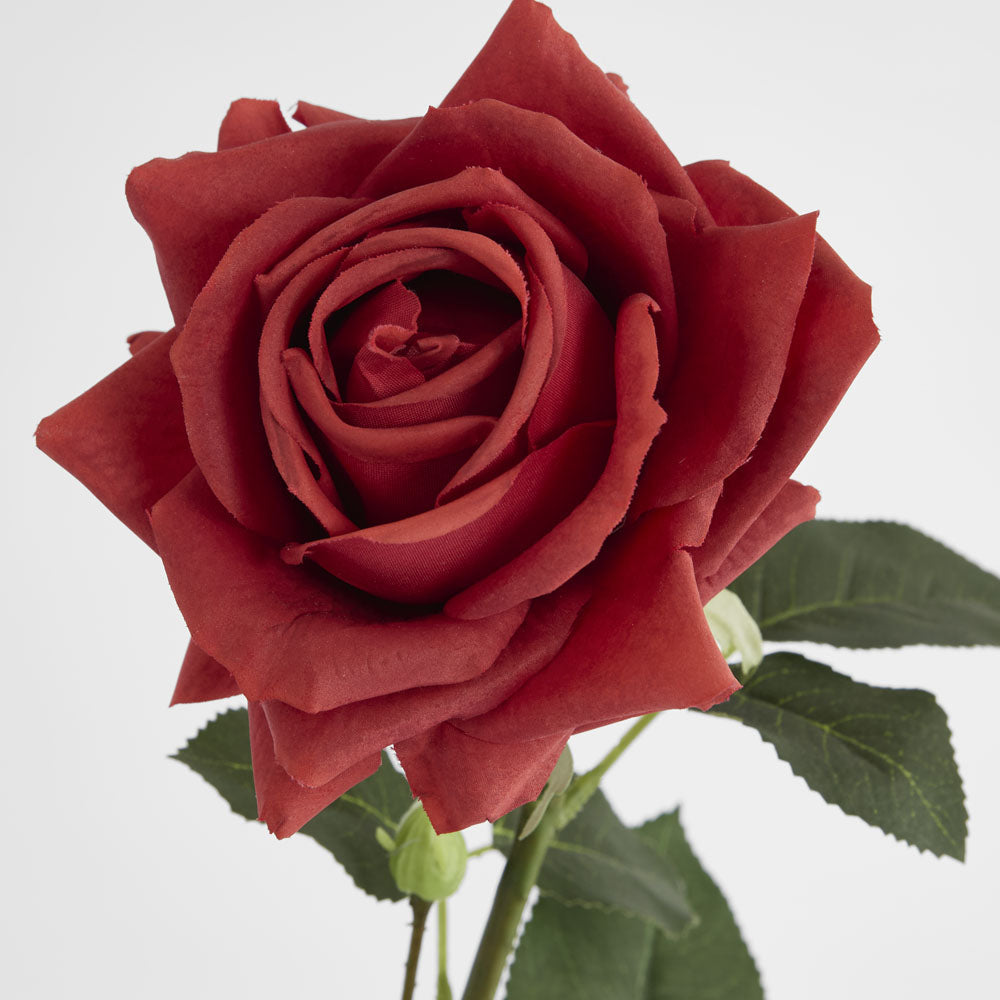 Belle Real Touch Rose Stem 65cm Red 6 pcs