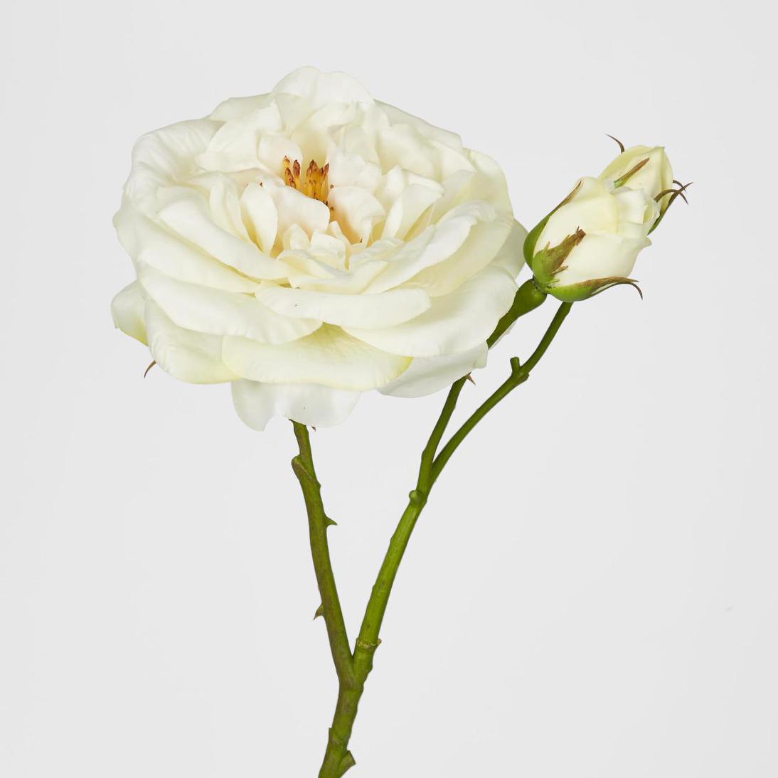 Real Touch Angelina Rose Spray White 4 pcs