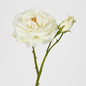Real Touch Angelina Rose Spray White 4 pcs