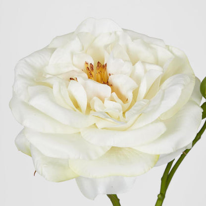 Real Touch Angelina Rose Spray White 4 pcs