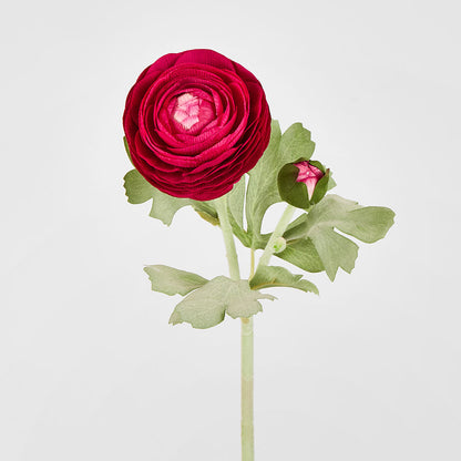 Clara Fuschia Ranunculus Spray49cm
