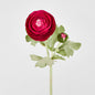 Clara Fuschia Ranunculus Spray49cm
