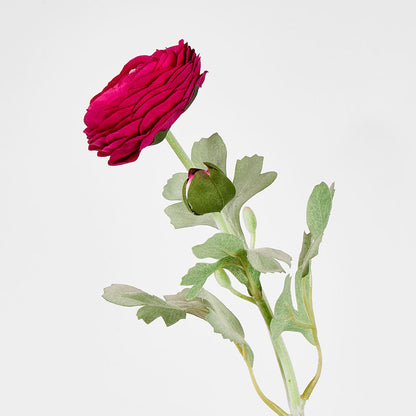 Clara Fuschia Ranunculus Spray49cm