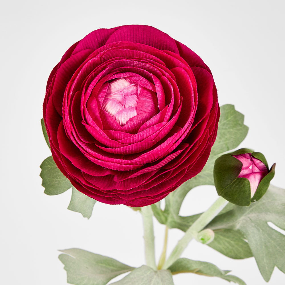 Clara Fuschia Ranunculus Spray49cm