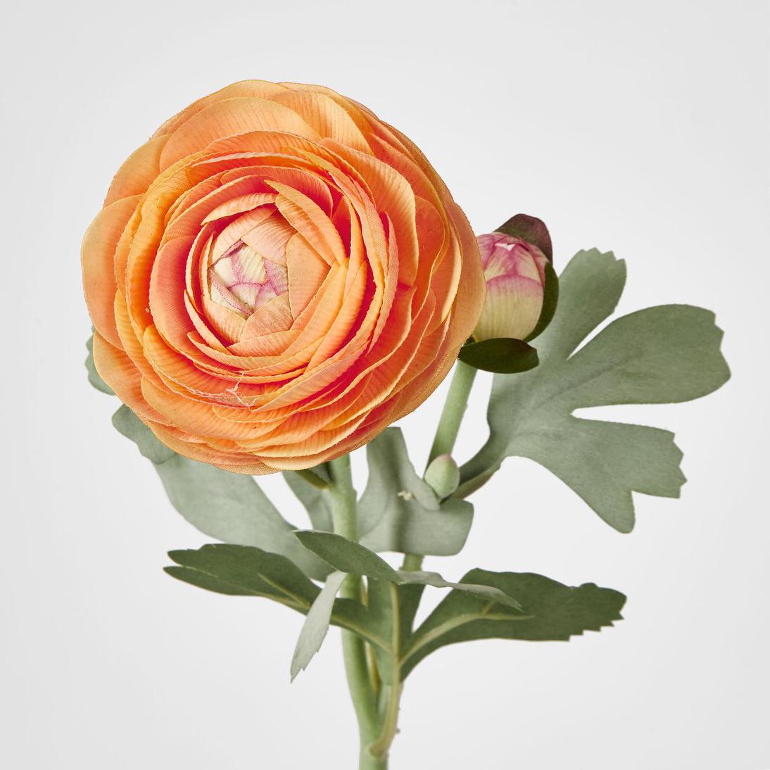 Clara Orange Ranunculus Spray49cm