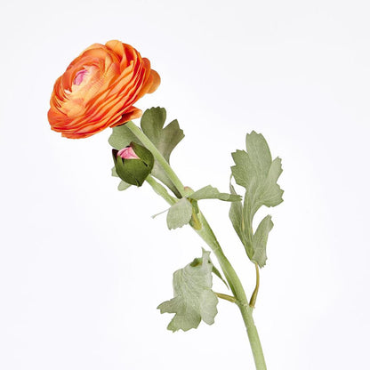 Clara Orange Ranunculus Spray49cm