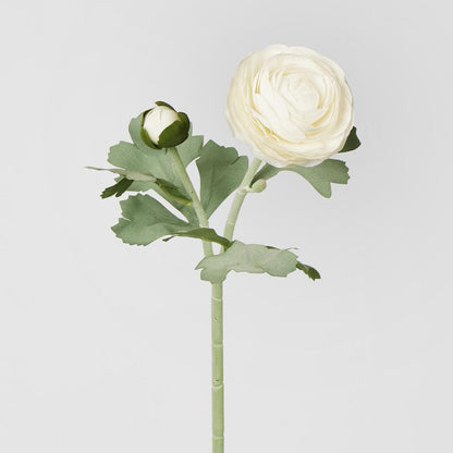 Clara Pure White Ranunculus Spray 49cm