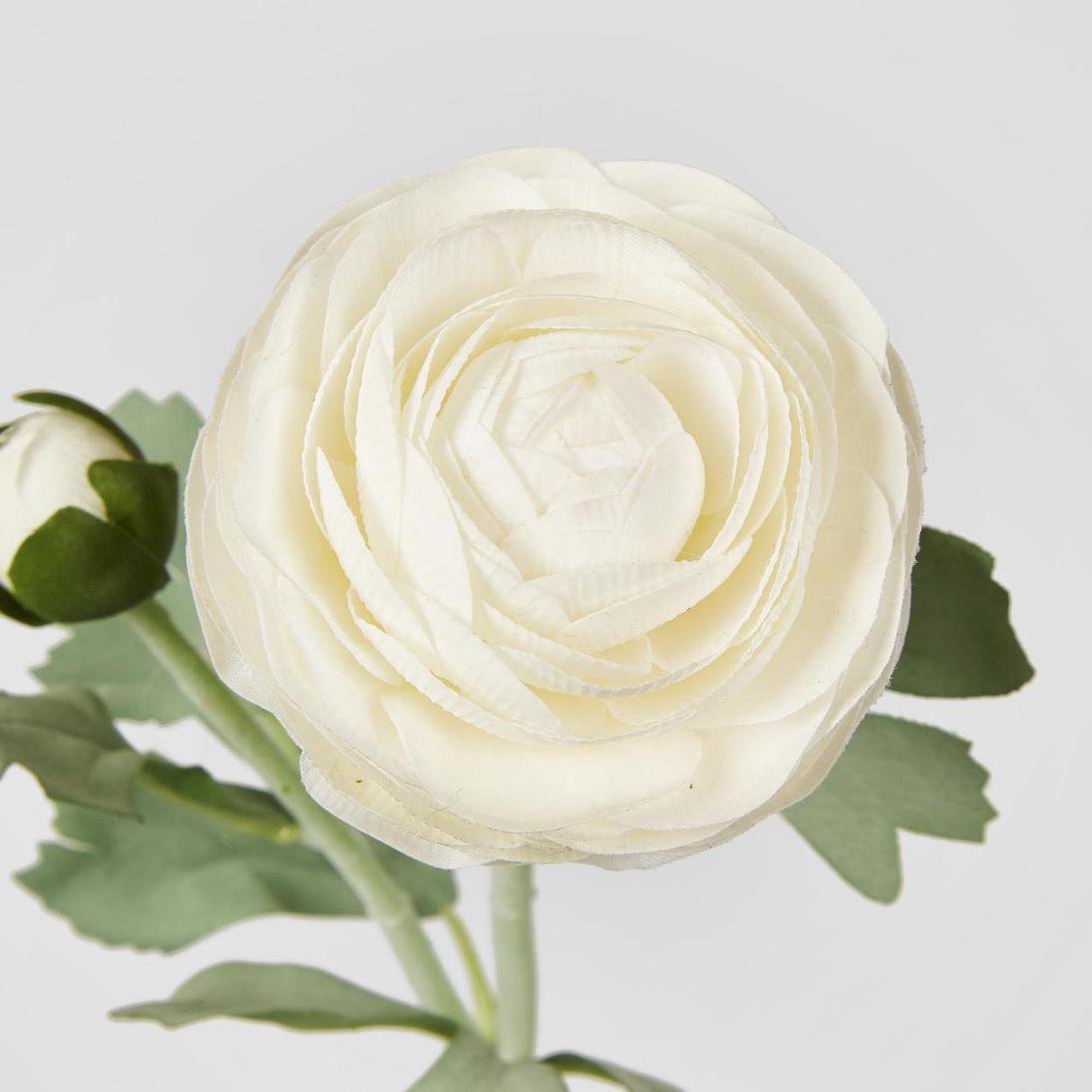 Clara Pure White Ranunculus Spray 49cm