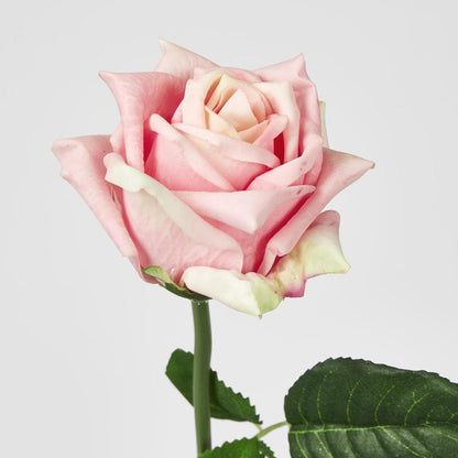 Ingrid Rose Real Touch Light Pink46cm 24 pcs