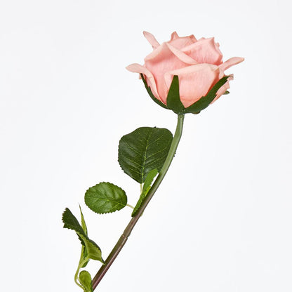 Ingrid Rose Real Touch Peach46cm 24 pcs