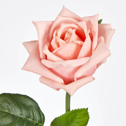 Ingrid Rose Real Touch Peach46cm 24 pcs
