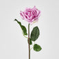 Ingrid Rose 46cm Mauve 24 pcs