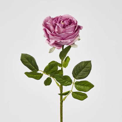 Dianna Real Touch Rose Steam Autumn Pink60cm 15 pcs
