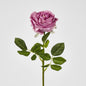 Dianna Real Touch Rose Steam Autumn Pink60cm 15 pcs