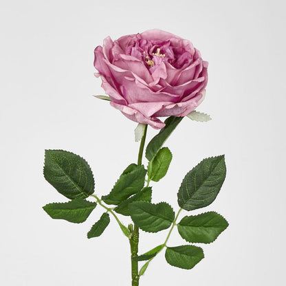 Dianna Real Touch Rose Steam Autumn Pink60cm 15 pcs
