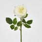 Dianna Real Touch Rose Steam Light Champagne60cm 15 pcs