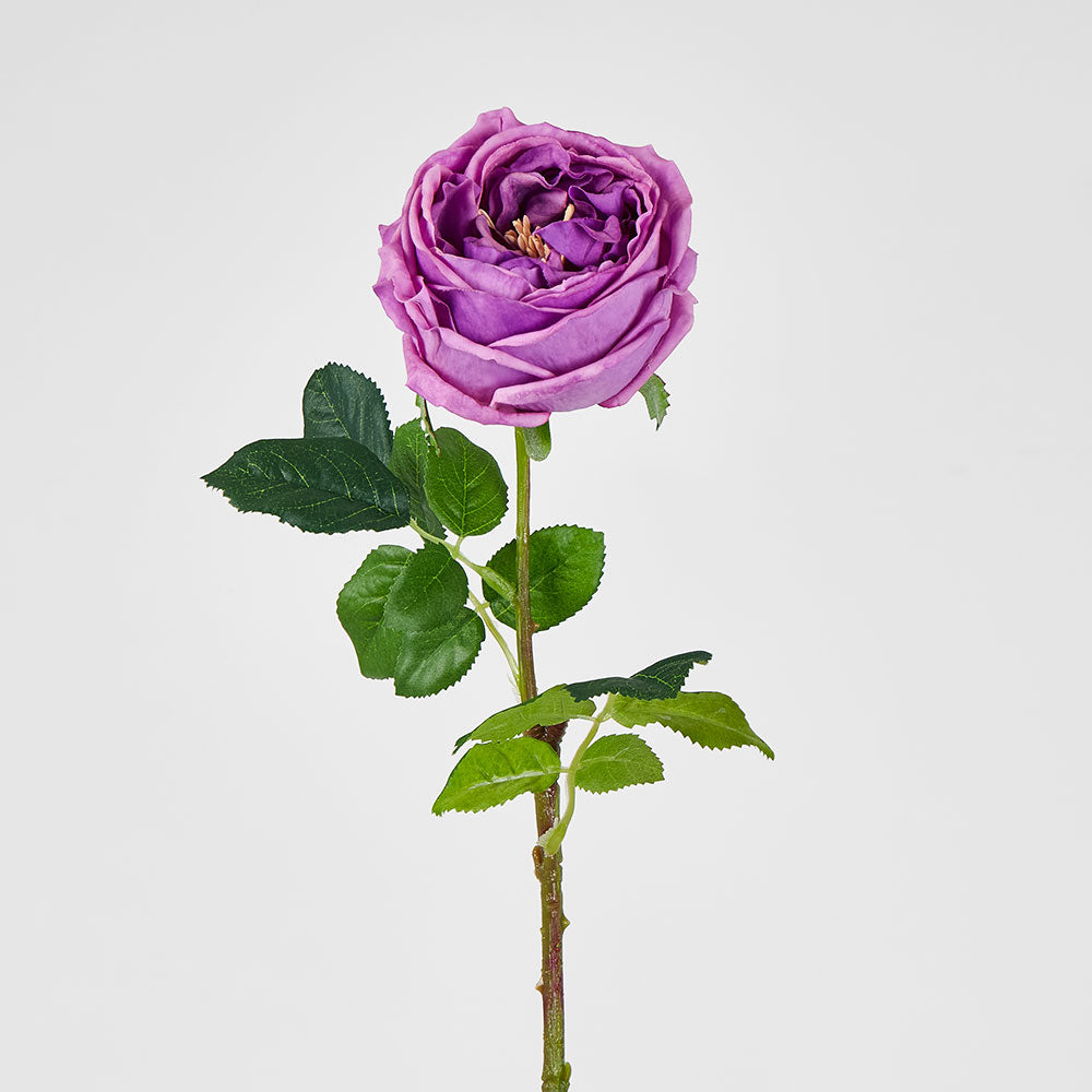 Dianna Real Touch Rose Steam Lilac60cm 15 pcs