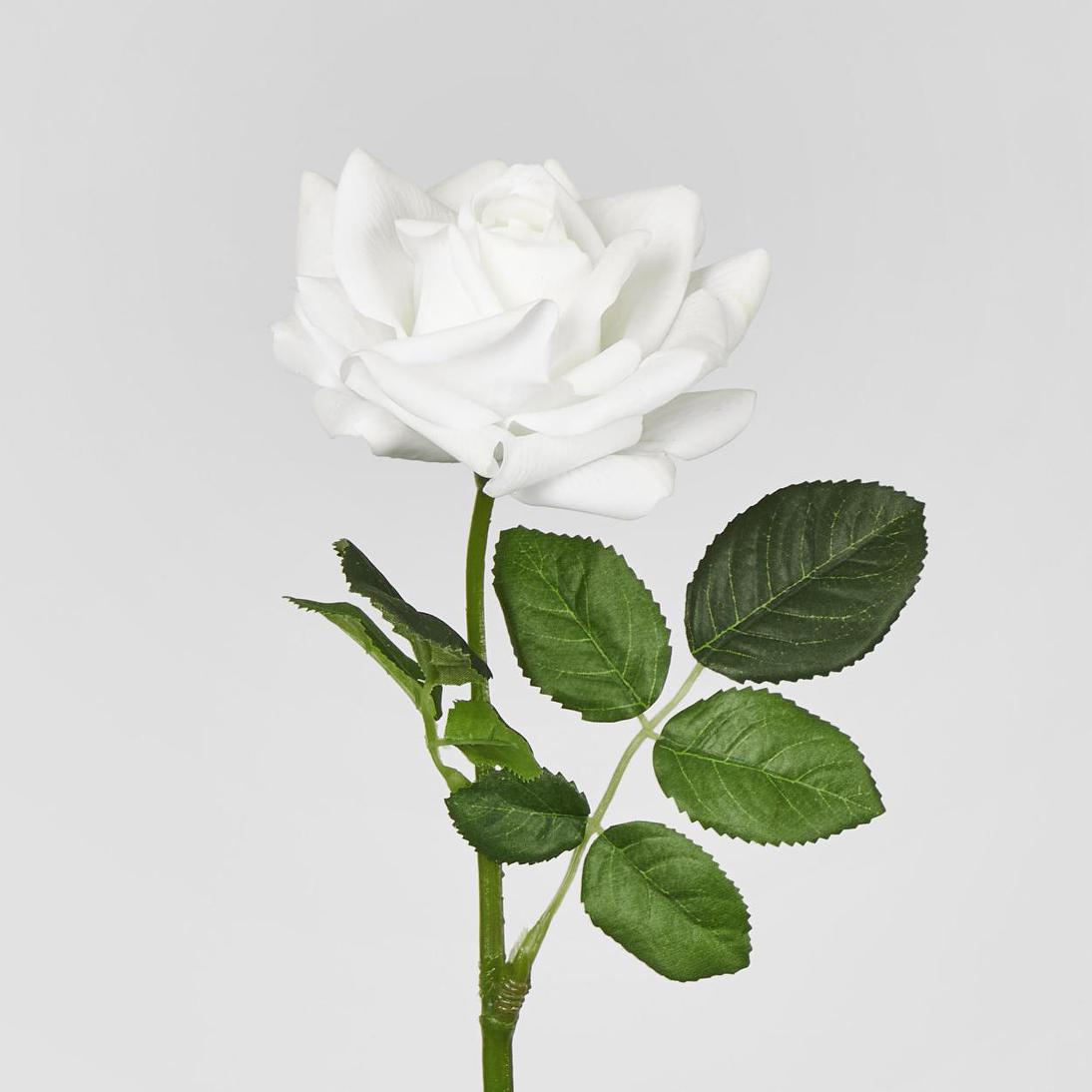 Winston Rose Real Touch White45cm 18 pcs