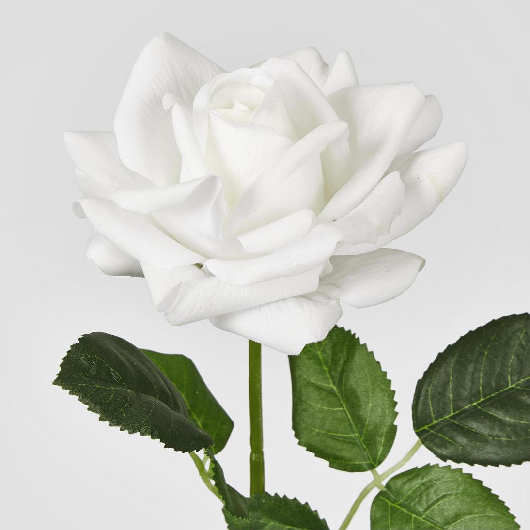 Winston Rose Real Touch White45cm 18 pcs