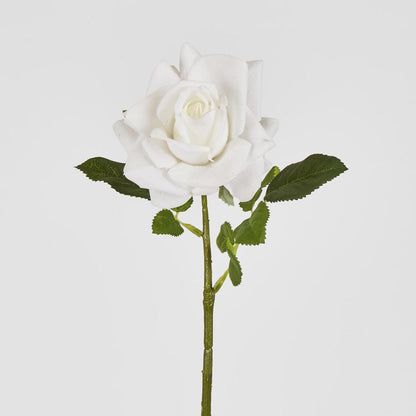 Walter Real Touch Rose Stem Ivory61cm 12 pcs