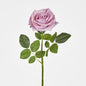 Walter Real Touch Rose Stem Lavender61cm 12 pcs