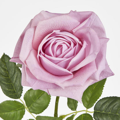 Walter Real Touch Rose Stem Lavender61cm 12 pcs