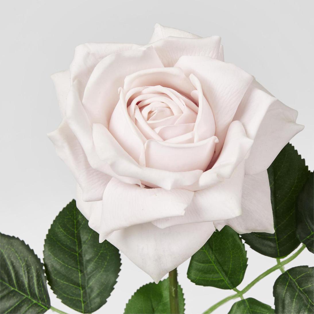Walter Real Touch Rose Stem Soft Pink 61cm 12 pcs