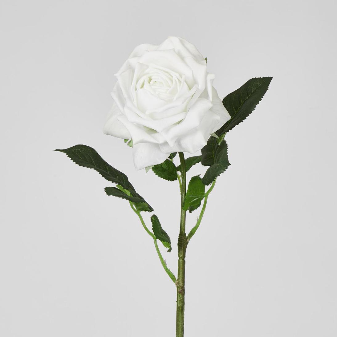 Walter Real Touch Rose Stem Winter White61cm 12 pcs