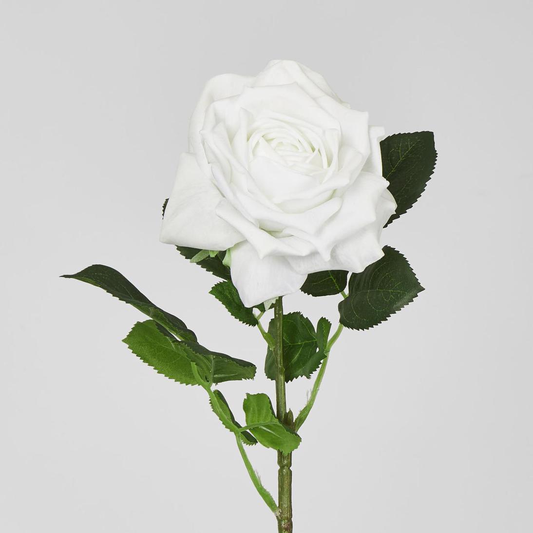 Walter Real Touch Rose Stem Winter White61cm 12 pcs