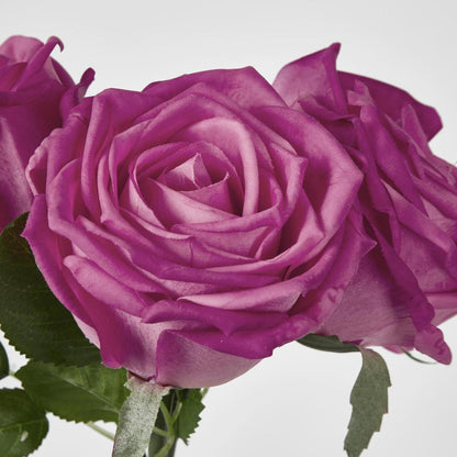 Willow Rose Bunch 29cm Dark Pink 6 pcs