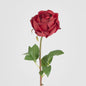 York Rose Short Stem 52cm Red 3 pcs