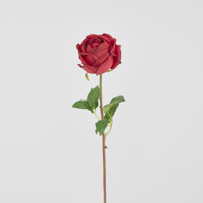 York Rose Short Stem 52cm Red 3 pcs