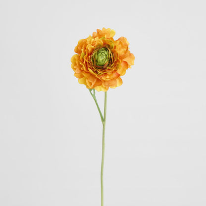 Ranunculus Stem 56cm Orange 6 pcs