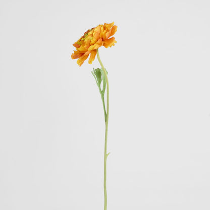 Ranunculus Stem 56cm Orange 6 pcs