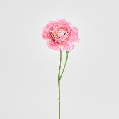 Ranunculus Stem 56cm Pink 6 pcs