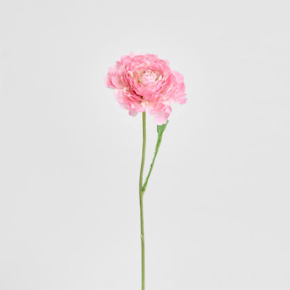 Ranunculus Stem 56cm Pink 6 pcs
