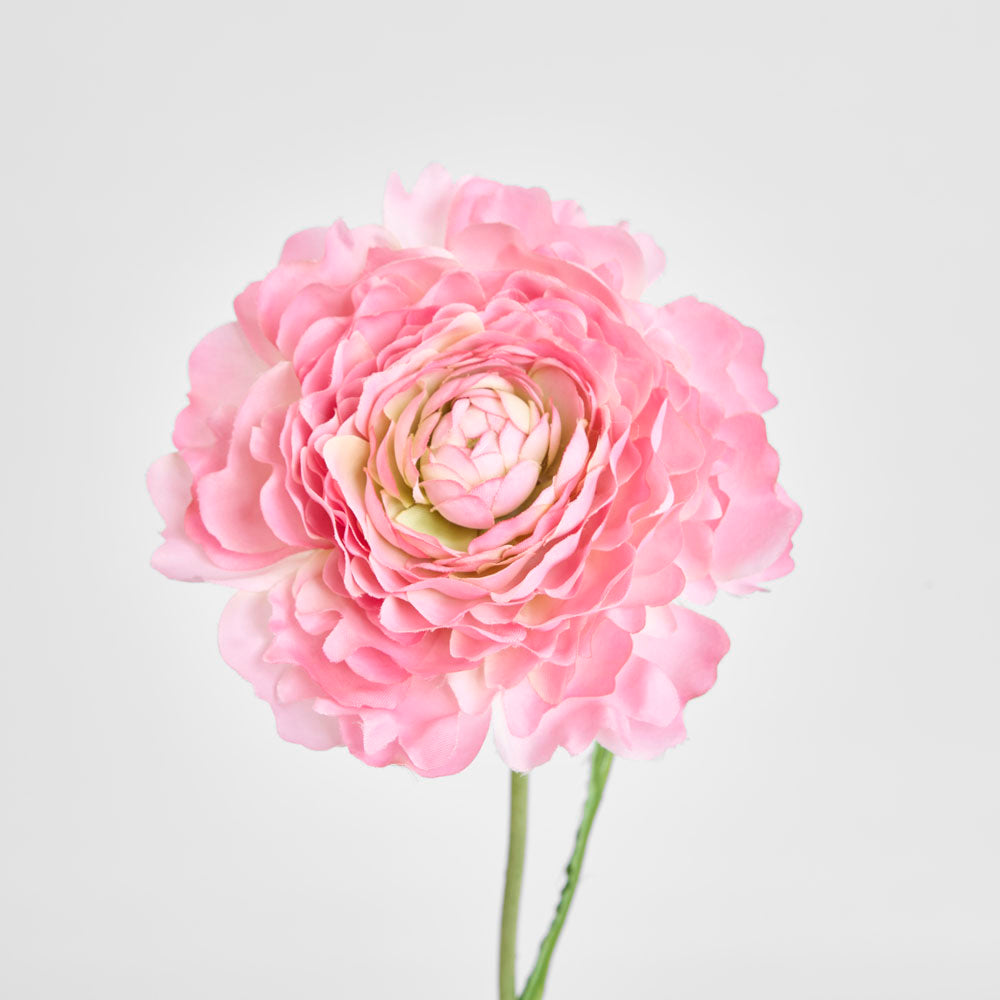 Ranunculus Stem 56cm Pink 6 pcs