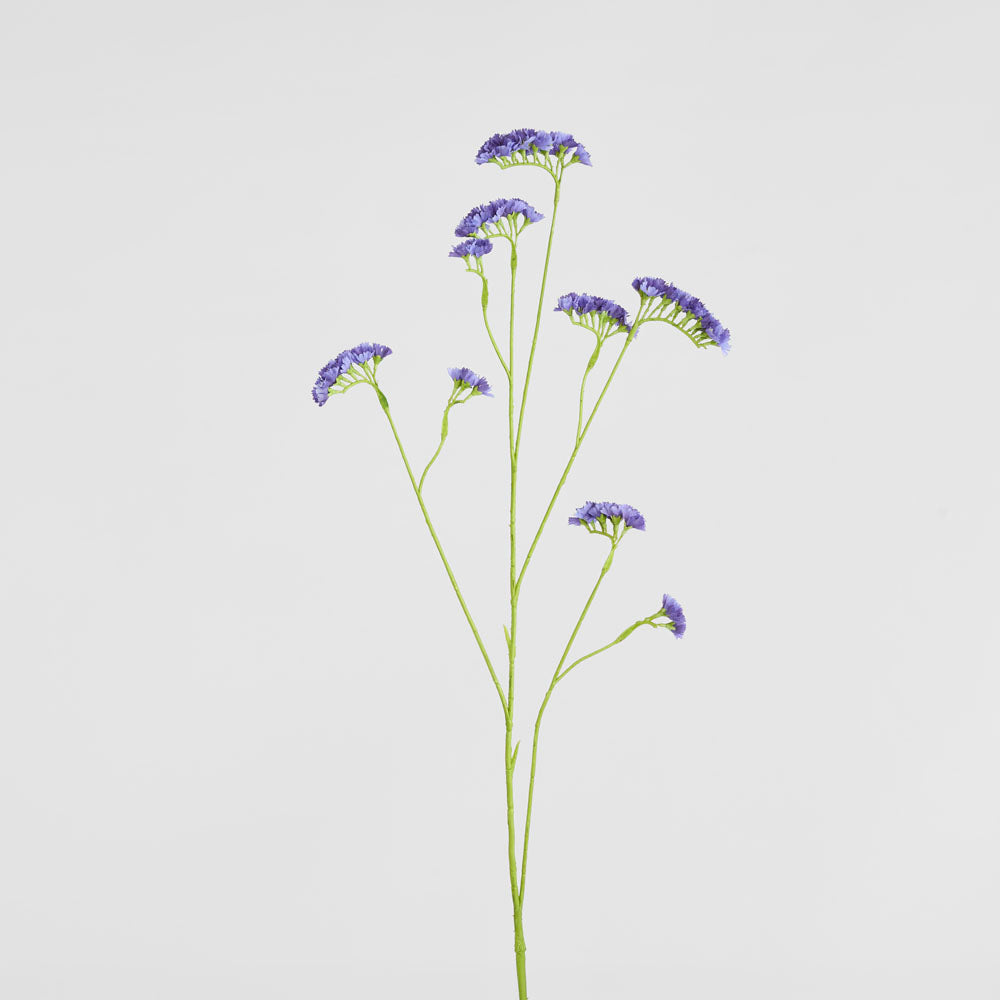 Rosemary Lavender 92cm